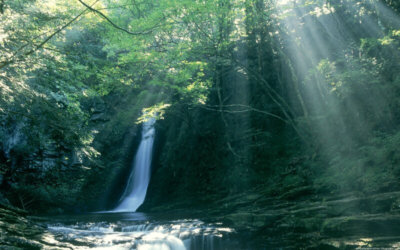 Waterfall in Forest — Morning, Sunlight