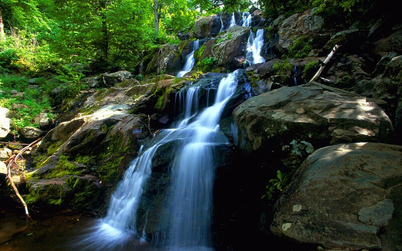 Waterfall in Forest — Moss, Blue