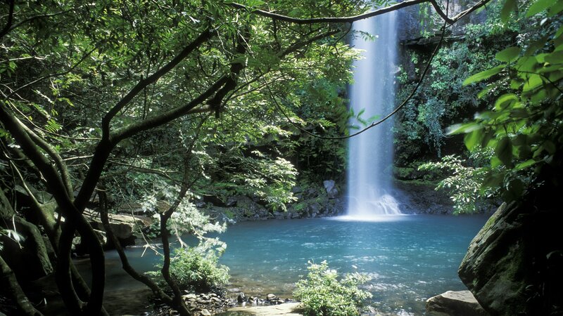 Waterfall in Forest — Pool, Brown