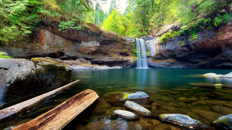 Waterfall in Forest Pool — Green, Serene, Afternoon