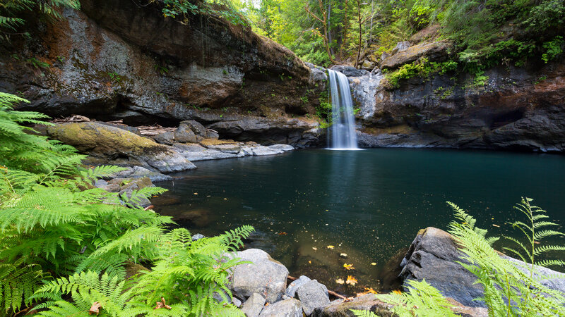 Waterfall in Forest Pool — Green, Serene