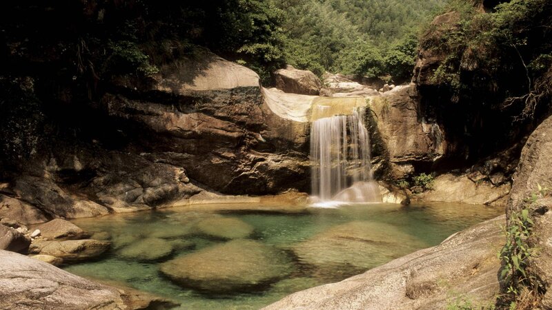 Waterfall in Forest Pool