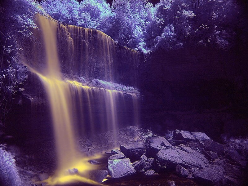 Waterfall in Forest — Purple, Dramatic