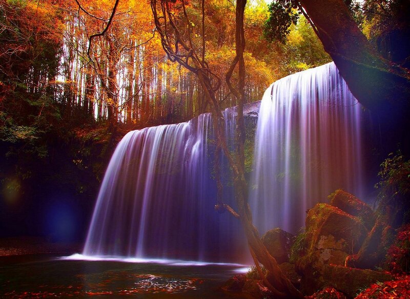 Waterfall in Forest — Purple, Serene, Autumn