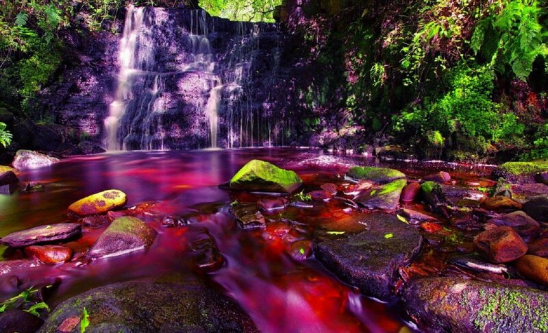 Waterfall in Forest — Purple, Serene, Photograph