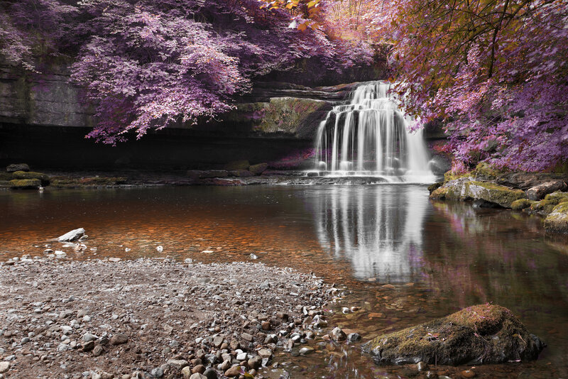 Waterfall in Forest — Purple, Serene