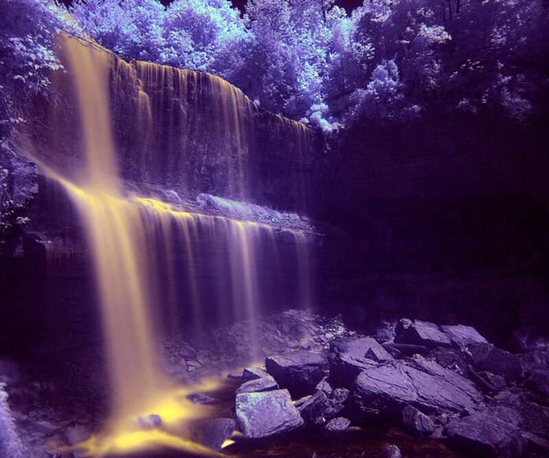 Waterfall in Forest — Purple