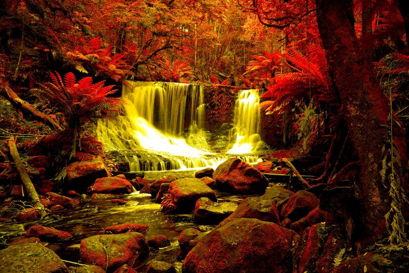 Waterfall in Forest — Red, Dramatic, Autumn, Photograph