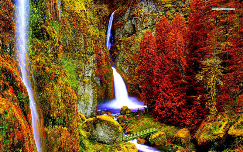 Waterfall in Forest — Red, Dramatic, Autumn, Photograph, Trees