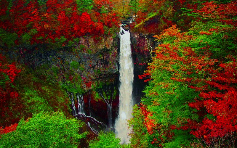 Waterfall in Forest — Red, Dramatic, Autumn