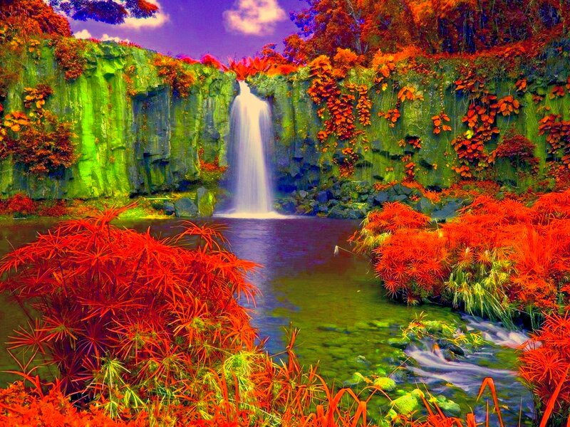 Waterfall in Forest — Red, Dramatic, Digital Art