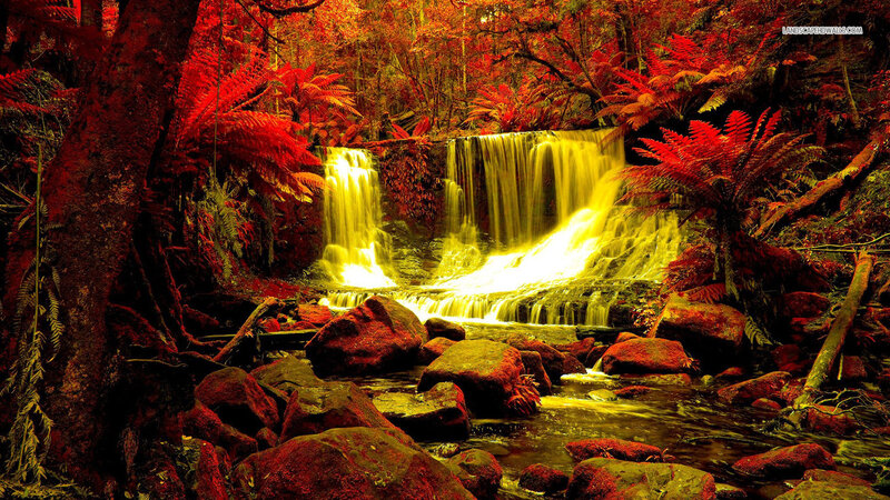 Waterfall in Forest — Red, Dramatic, Photograph