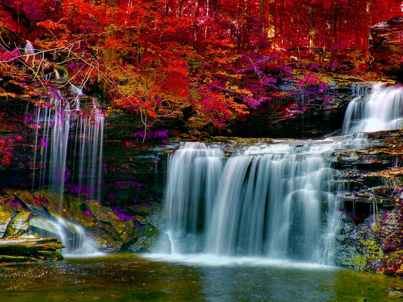 Waterfall in Forest — Red, Serene, Autumn, Photograph
