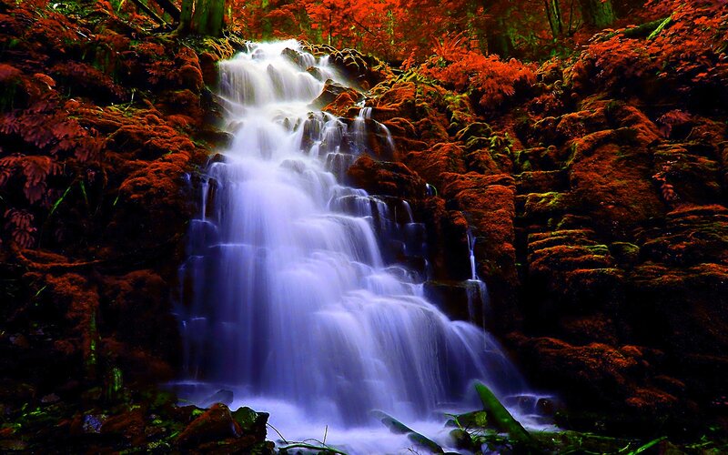 Waterfall in Forest — Red, Serene