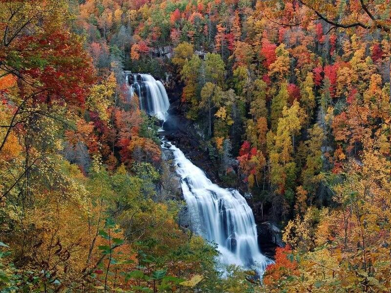 Waterfall in Forest — Red