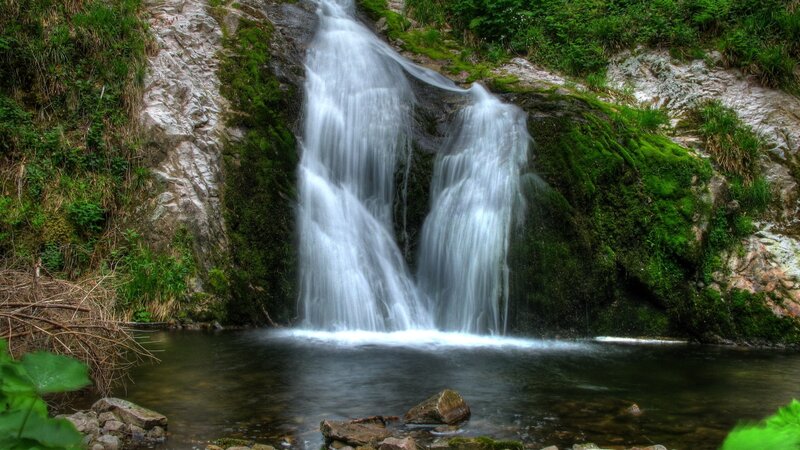 Waterfall in Forest — River, Moss
