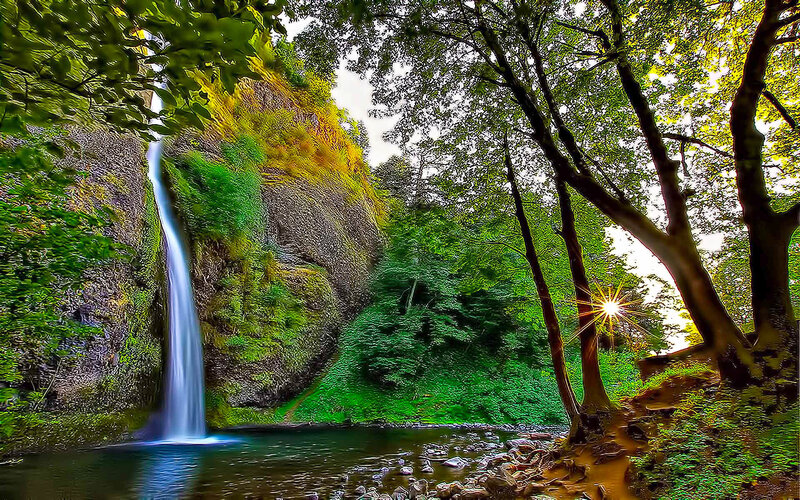 Waterfall in Forest — River, Sunlight