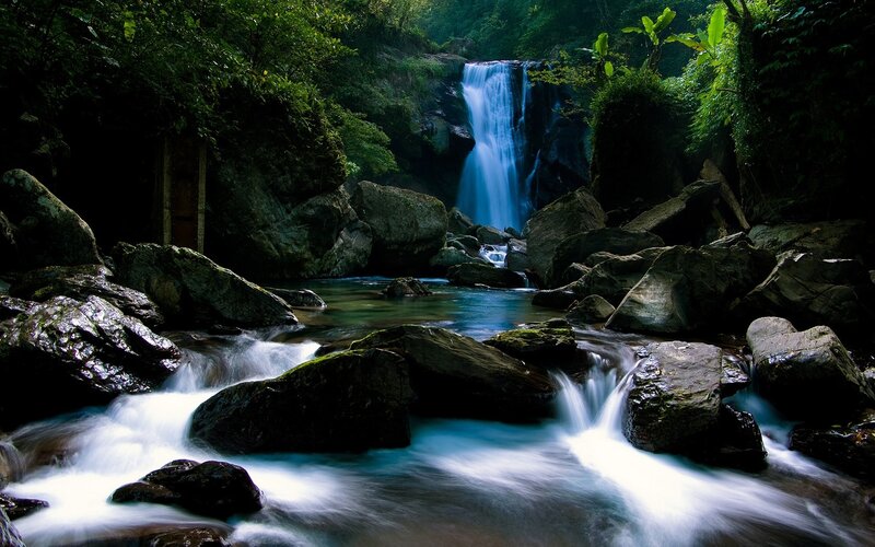 Waterfall in Forest — River, Trees