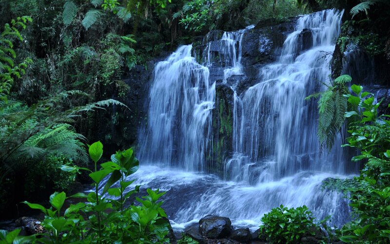 Waterfall in Forest — Serene, Plants