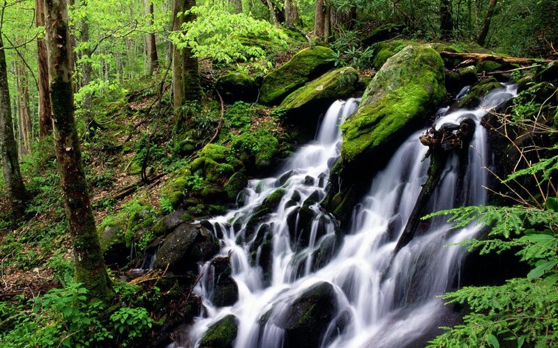 Waterfall in Forest — Spring