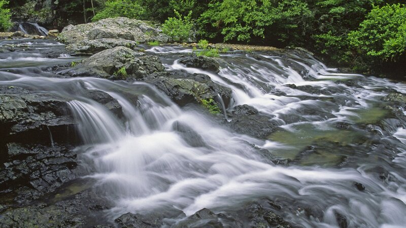 Waterfall in forest stream