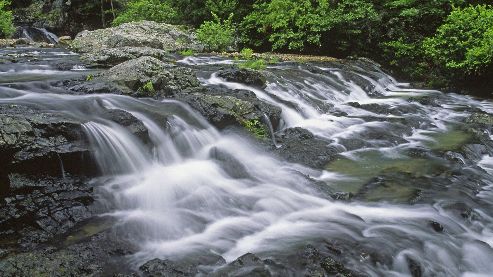 Waterfall in forest stream