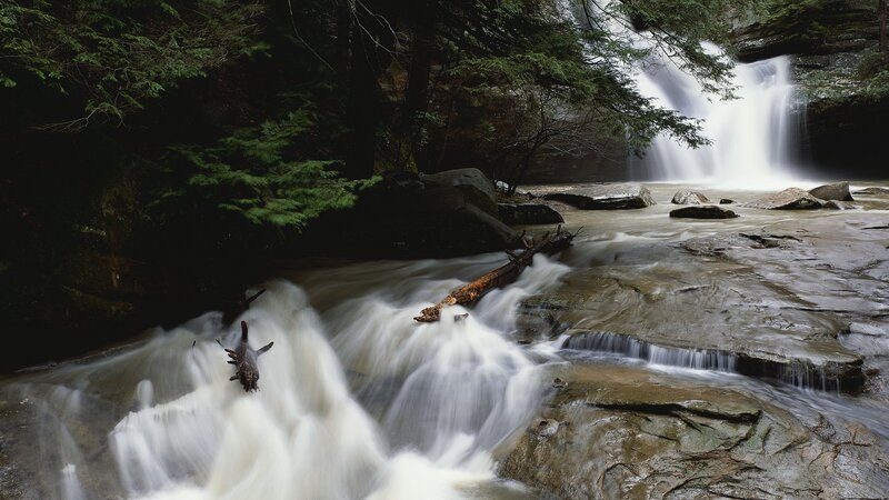 Waterfall in forest stream