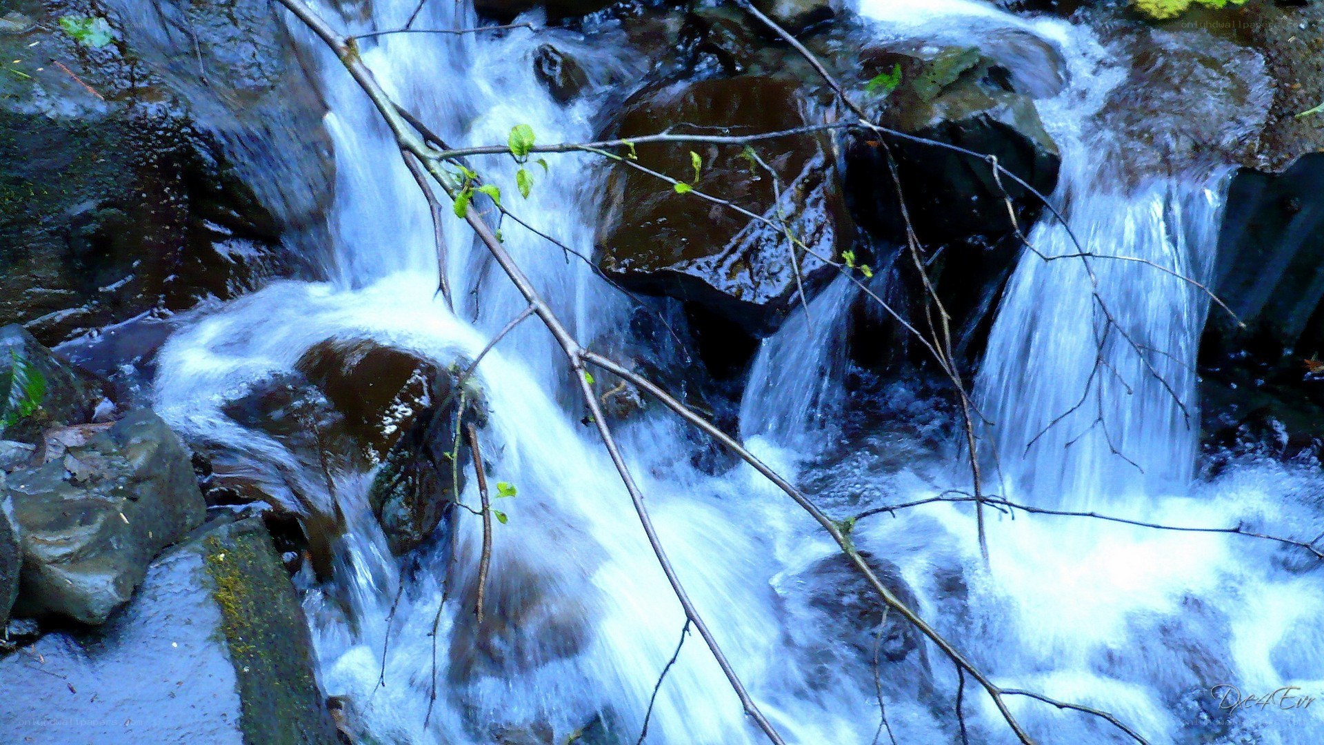 Waterfall in forest stream