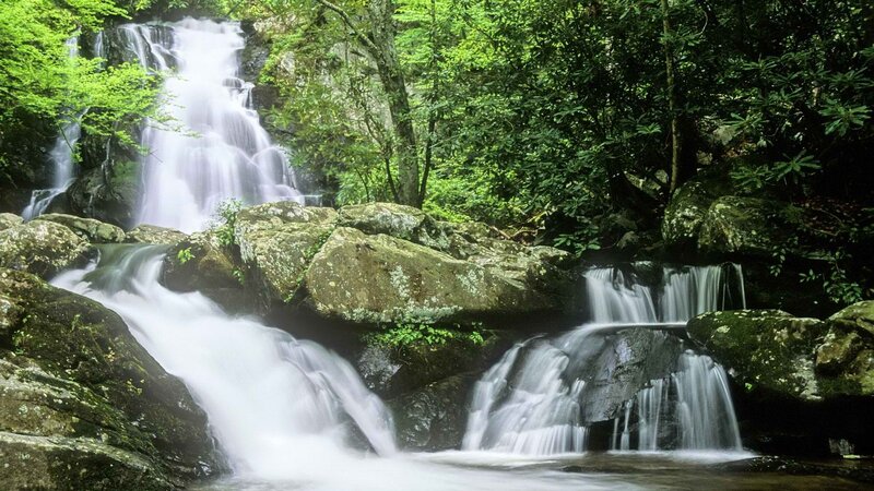 Waterfall in Forest — Stream, Gray