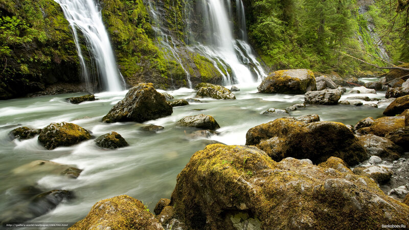 Waterfall in forest stream