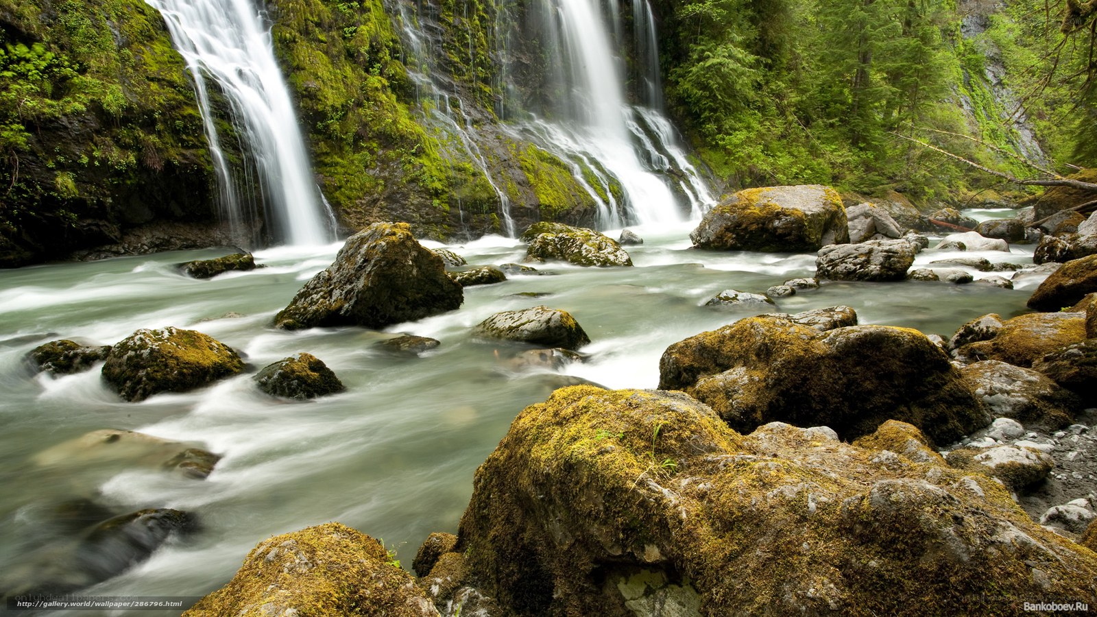 Waterfall in forest stream