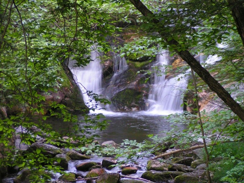 Waterfall in Forest — Summer, Brown