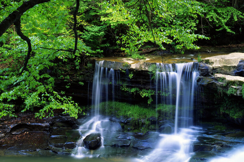 Waterfall in Forest — Summer, Trees