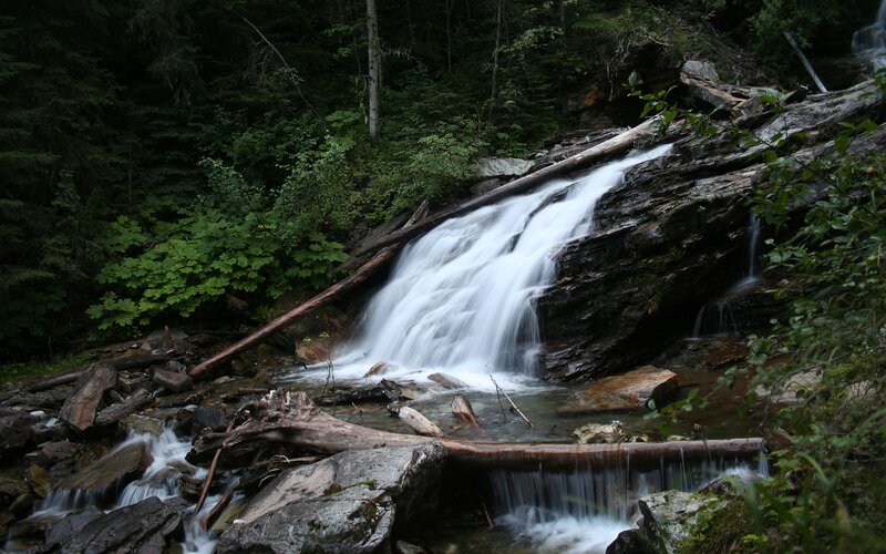 Waterfall in Forest — Trees, Logs