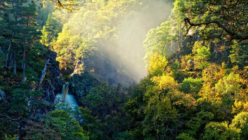 Waterfall in Forest Valley — Green