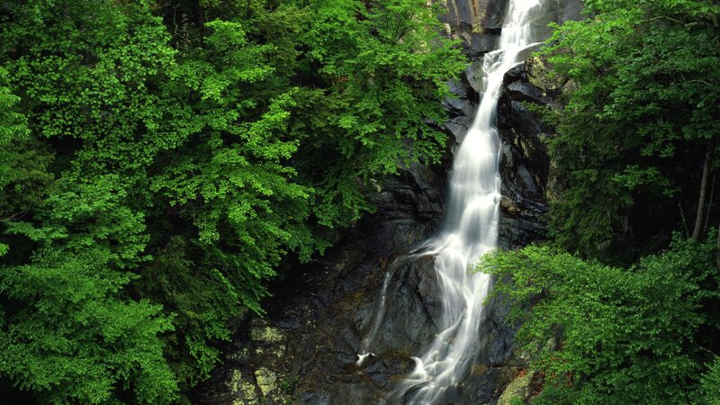 Waterfall in Forest — White, Black