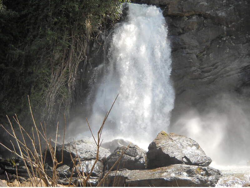 Waterfall in Forest — White, Dramatic, Afternoon