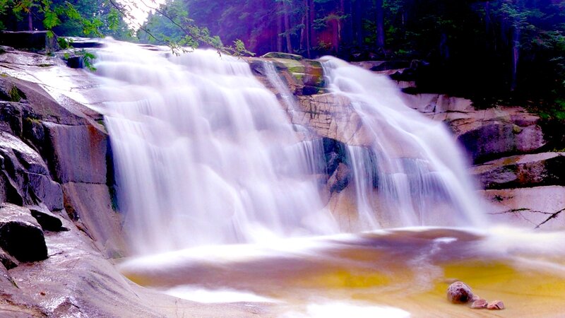 Waterfall in Forest — White, Serene
