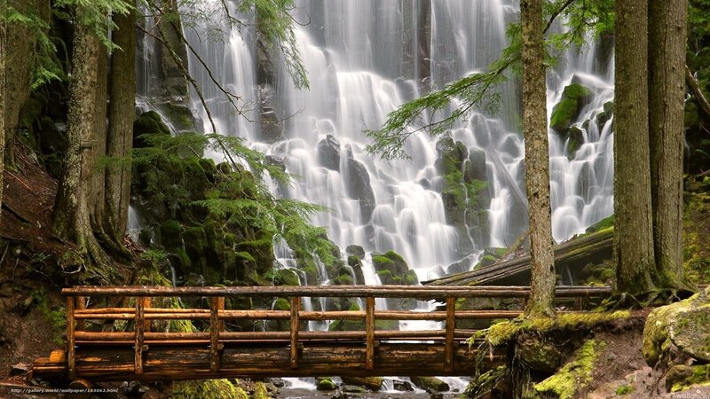 Waterfall in forest with bridge