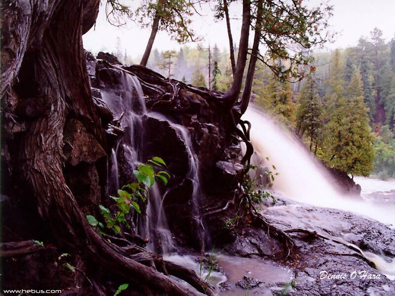 Waterfall in forest with tree roots