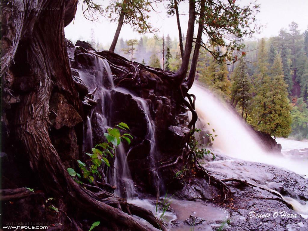Waterfall in forest with tree roots