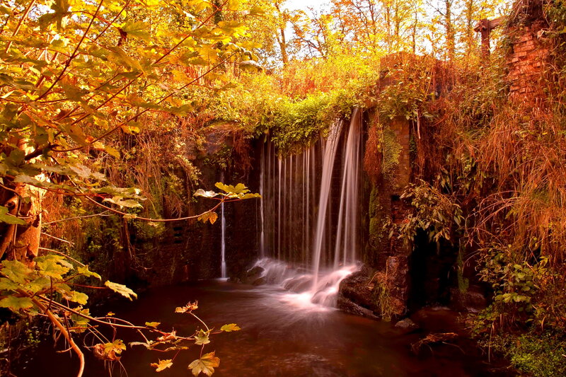 Waterfall in Forest — Yellow, Serene, Autumn, Photograph, Trees