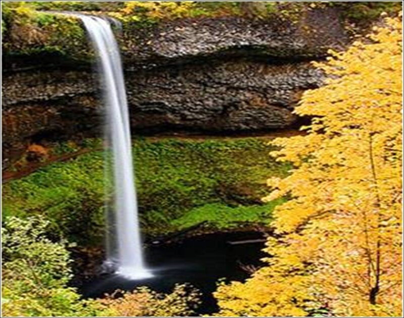 Waterfall in Forest — Yellow, Serene, Autumn