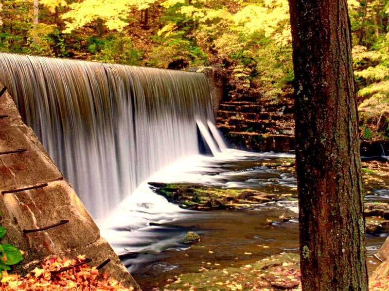 Waterfall in Forest — Yellow, Serene
