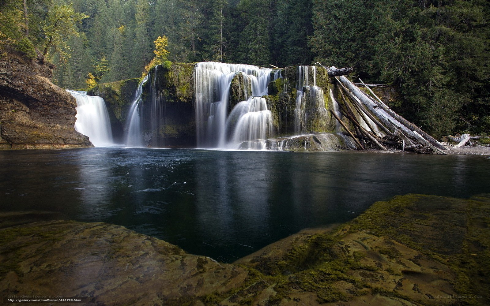 Waterfall in forested area