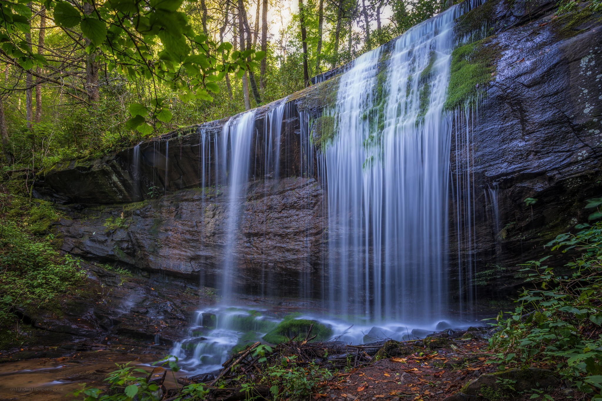 Waterfall in forested area