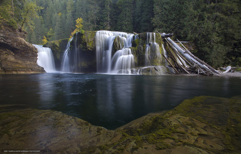 Waterfall in forested area