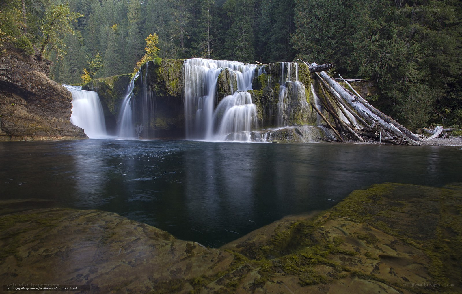 Waterfall in forested area