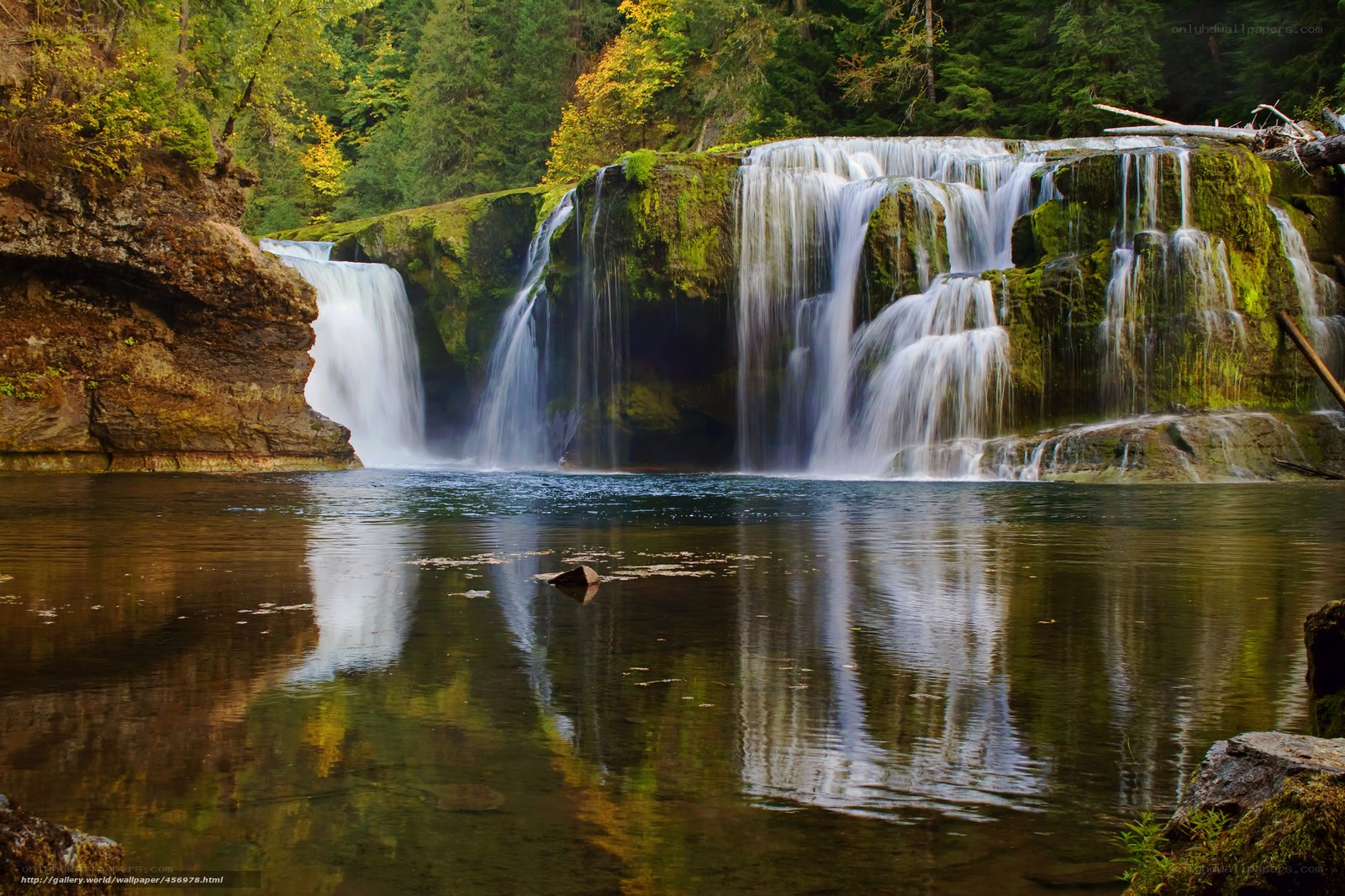 Waterfall in forested area
