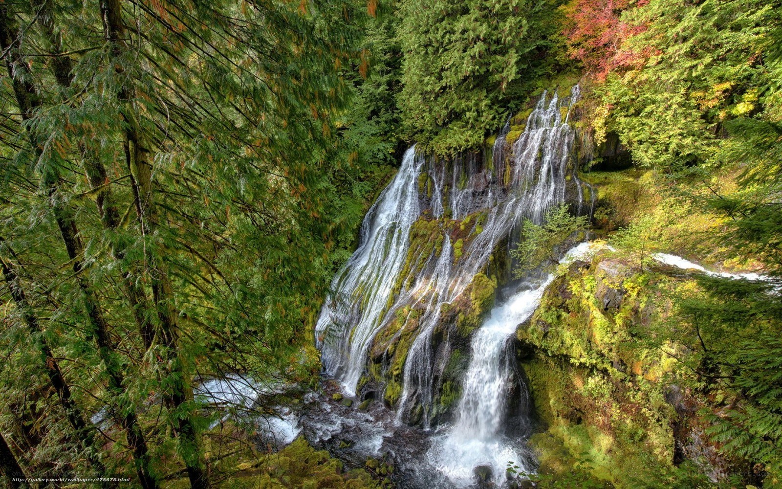 Waterfall in forested area